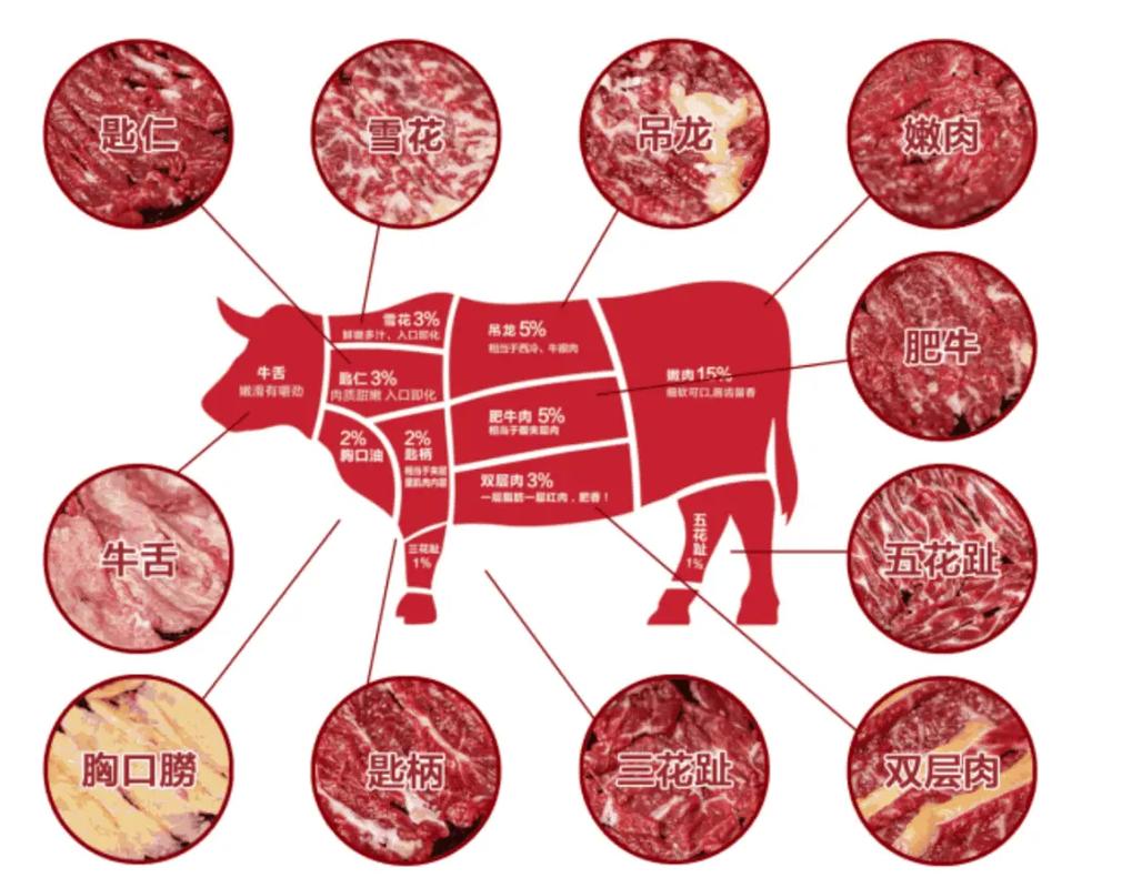 肥牛在牛哪个部位图_牛肉部位各有妙，涮炒卤炖风味全！