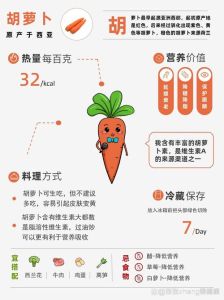 胡萝卜属于萝卜类吗_胡萝卜用油炒吸收好，白萝卜生吃助消化