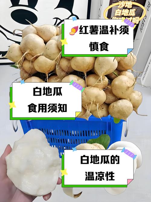 地瓜一般隔水蒸几分钟_蒸红薯多长时间？大小看这里！