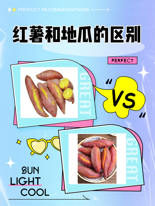 红薯就是地瓜吗为什么_红薯地瓜一个样，营养好吃做法多