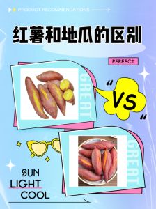 红薯就是地瓜吗为什么_红薯地瓜一个样，营养好吃做法多