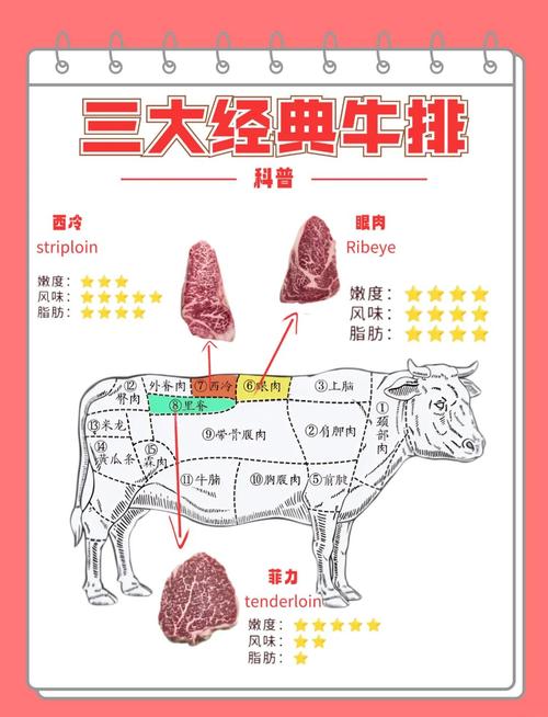 各种牛排的区别 图解_牛排部位图解，选对部位吃出好味道！