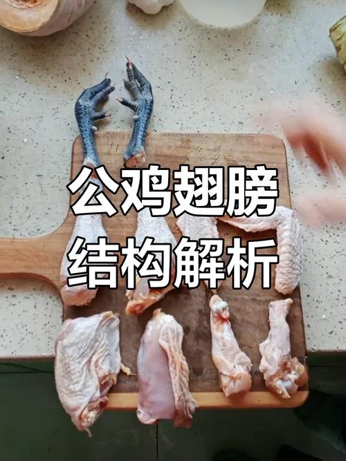 翅根和翅中的区别图_翅中翅根怎么选？口感营养大不同