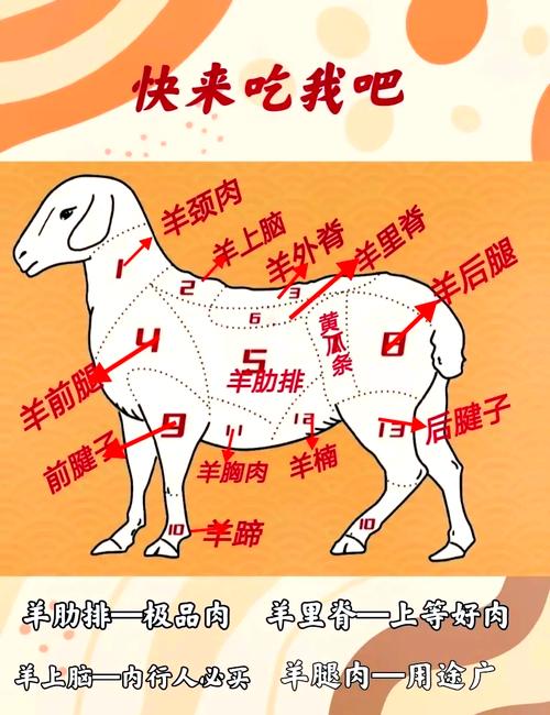 羊柳是羊身上的什么部位_羊柳鲜嫩涮火锅，滋补又美味！