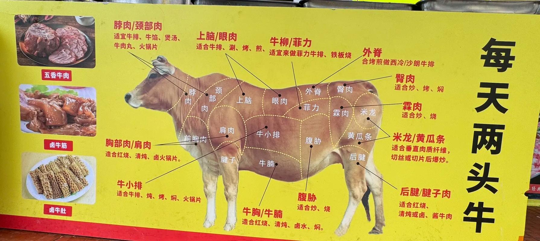 牛肉26个分解图图片_牛肉不同部位怎么吃？