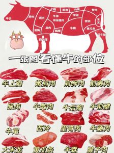 肥牛在牛哪个部位图_牛肉部位各有妙，涮炒卤炖风味全！
