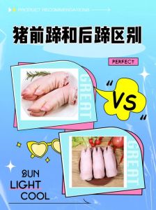 猪蹄前后脚区分图解_前蹄卤煮后蹄煲汤