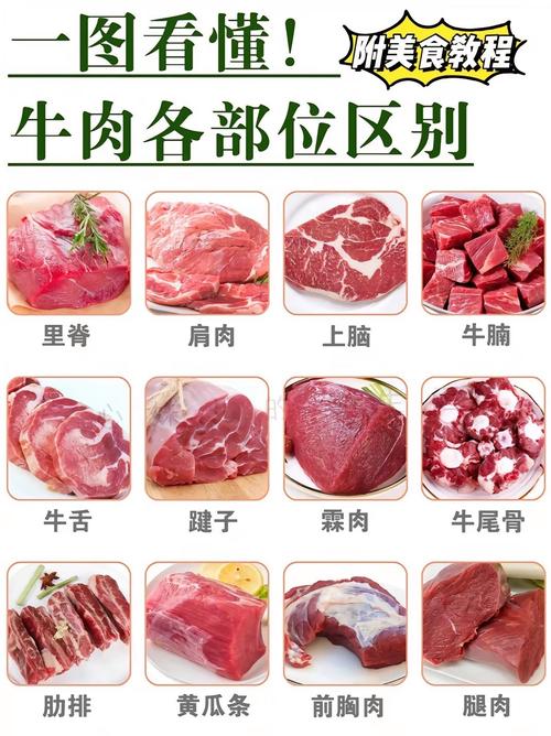 比较嫩的牛肉部位_里脊与上脑霖胸肉等，选对口感佳！