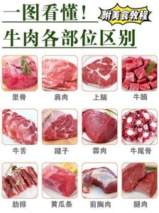 比较嫩的牛肉部位_里脊与上脑霖胸肉等，选对口感佳！