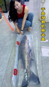 海里的胖头鱼叫啥名_胖头鱼即海鲶鱼，鲜美营养，滋补产后，做法简单，价格实惠