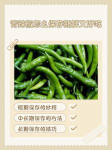 大量青椒怎么保存_青椒冷冻保存方法，延长冬季使用期