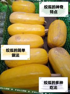 比黄瓜大的瓜叫什么_羊角蜜瓜甜脆营养，种植快受欢迎