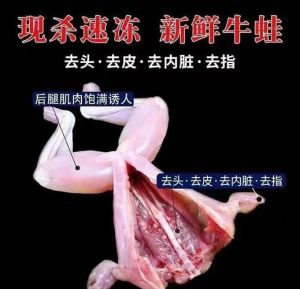 牛蛙为什么说尽量不要吃_牛蛙美味但风险多，过敏肠胃弱慎食