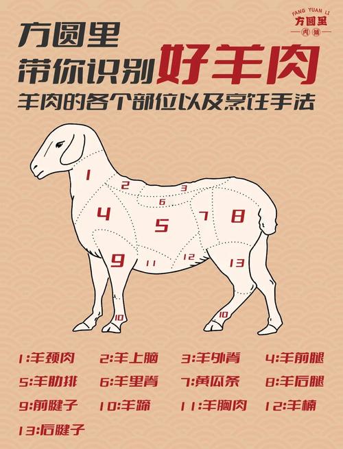 羊的各个部位图解_羊肉各部位怎么吃？