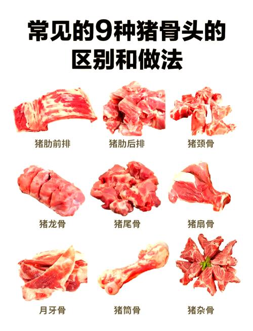 猪龙骨是哪个部位图解_煲汤炖煮佳品，口感粘糯，补钙低脂