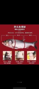 胖头鱼属于海鱼吗_淡水美味，痛风少食