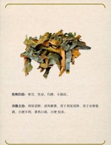 冬瓜怎么去皮图解_刷洗切割去皮，冬瓜芋头处理小窍门
