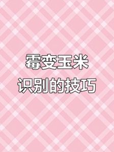 怎么判断玉米面坏了_看色闻味触质，霉变勿食保安全