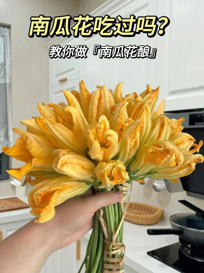 南瓜花酿的做法_南瓜花酿肉，贺州特色，清甜美味！