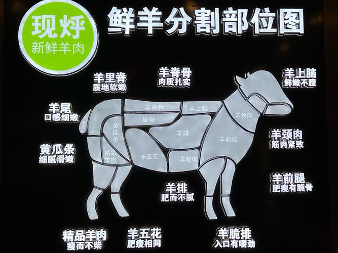 羊柳是羊的哪个部位图解_香辣羊柳 炒着吃最鲜嫩