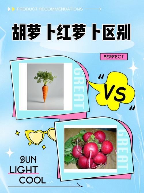 胡萝卜一年四季都有吗_全年吃鲜胡萝卜，温室种植不怕冬