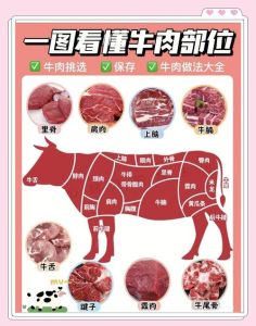 嫩牛肉是哪个部位_快火牛里脊，慢炖牛腩腱，吃对才美味！