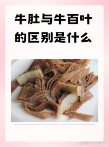 牛肚就是毛肚吗_毛肚牛肚怎么选？口感营养大不同！