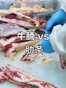 牛肋条和牛腩位置图_炖卤涮煎馅，吃对部位更美味！