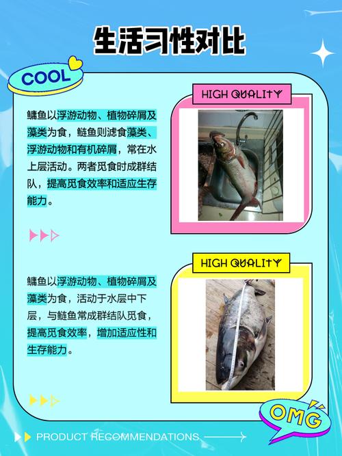 鳙鱼与鲢鱼区别图解_鲢鱼鳙鱼怎么区分？垂钓烹饪有啥不同？