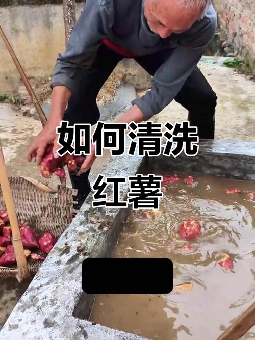 红薯汁弄到手上怎么洗干_红薯汁沾手难洗？试试这些妙招！