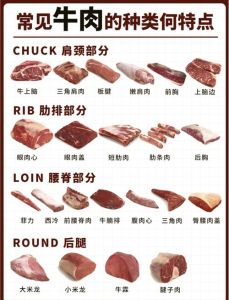 牛肉部位肉详细分解图_嫩肉快炒老肉炖，这样吃才香！