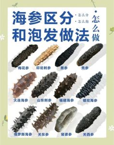 1小时海参快速泡发方法_冷水泡72小时，剪筋膜慢煮60分钟