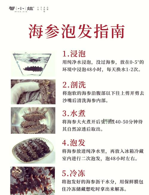 干海参快速泡发方法_选对干海参，泡发成功！