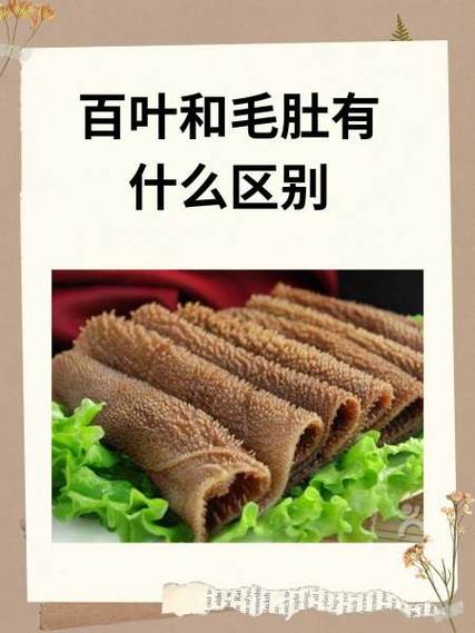 毛肚和百叶的区别图_毛肚百叶别混淆，火锅美味各不同！