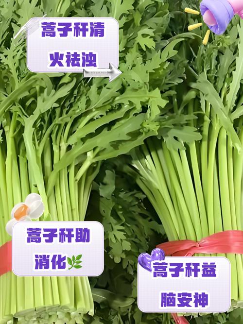 蒿子秆的做法_蒿子秆焯水去腥，口感鲜嫩做法多