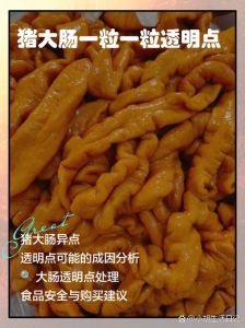 猪大肠嘌呤含量高吗_高嘌呤猪大肠，痛风患者慎食