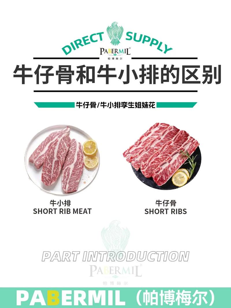 牛肋条和牛腩区别图_哪个更适合你？