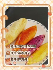 红薯能放冰箱保存吗_红薯放冰箱保存有讲究，别搞错了！