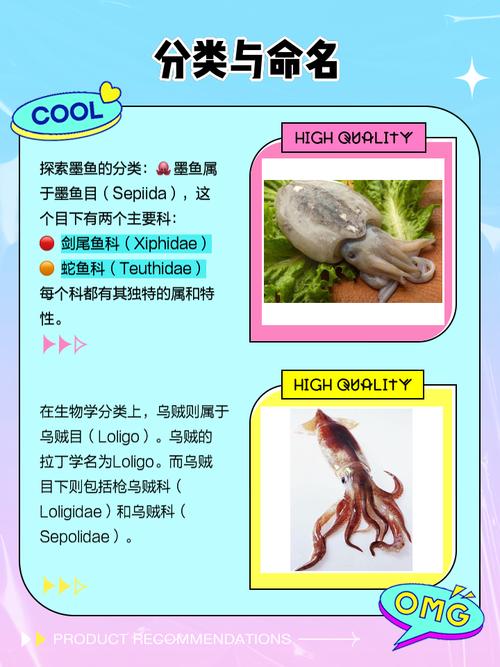 乌贼和墨鱼是一种鱼吗_乌贼墨鱼是软体动物，喷墨变色很神奇