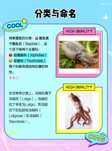 墨鱼就是乌贼鱼吗_墨鱼乌贼有啥区别？