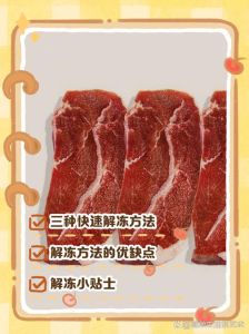 冻猪肉怎么快速解冻_冻肉怎么解冻最快最安全？