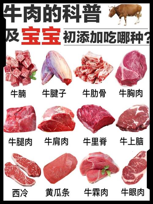 牛爽肉是牛的什么部位_快炒烧烤佳选，口感爽脆嚼劲足