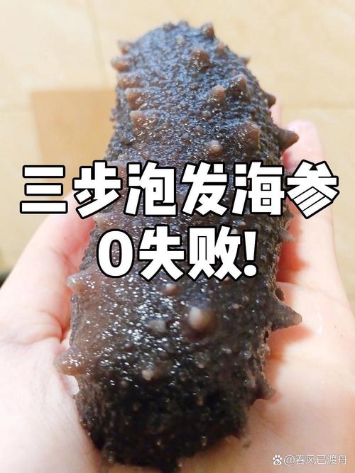 干海参最快速发泡方法_海参泡发有五法，选对保营养口感