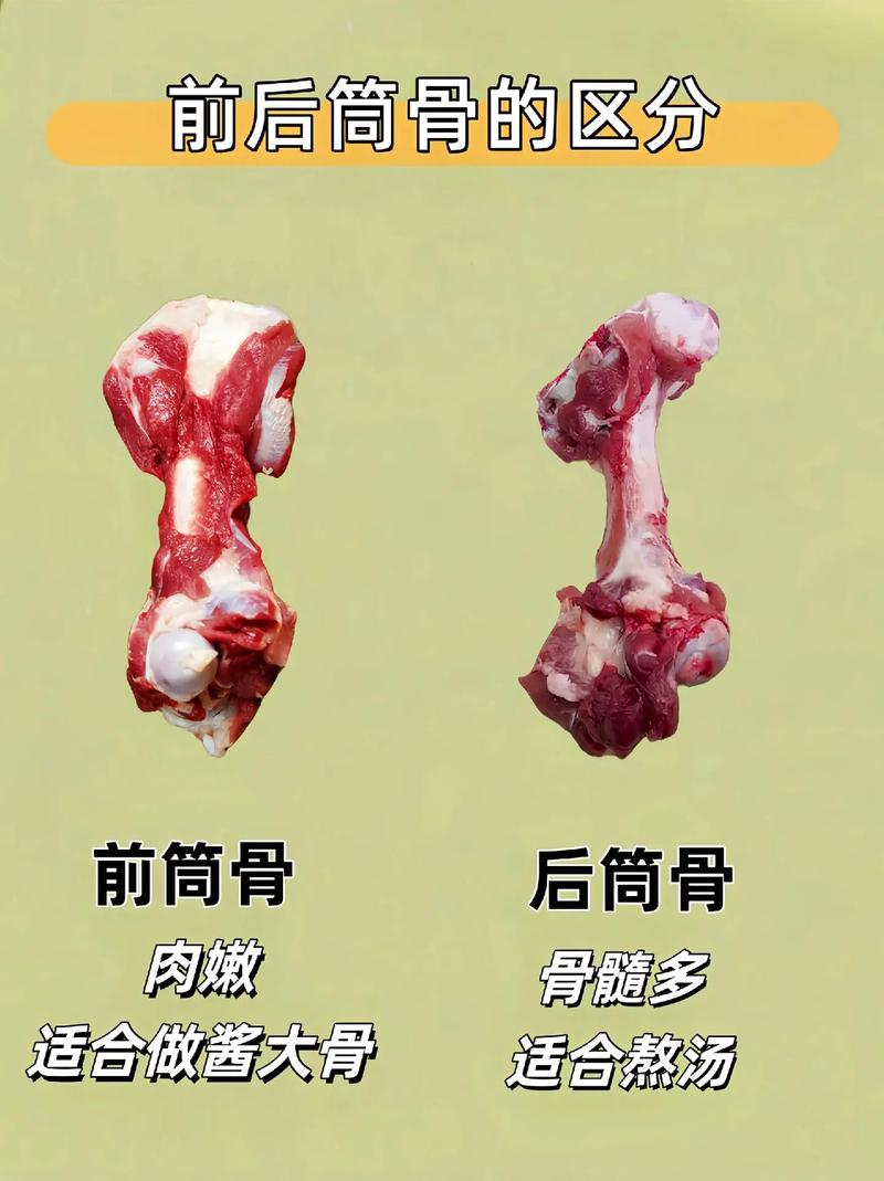 猪龙骨是哪个部位图解_煲汤炖煮佳品，口感粘糯，补钙低脂