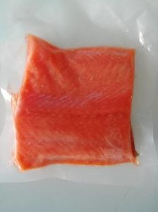 龙羊峡三文鱼是虹鳟吗_生态忧思与平衡之道