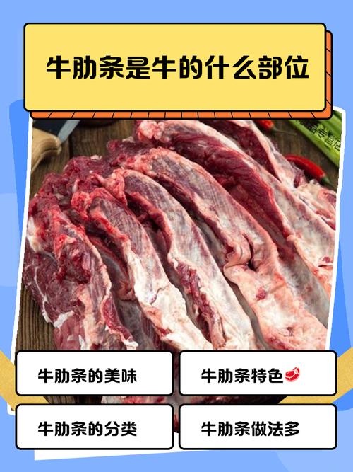 牛肋条和牛腩位置图_炖卤涮煎馅，吃对部位更美味！