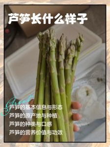 芦笋怎么去皮快好图解_轻手去皮，斜刀快炒，鲜嫩美味！