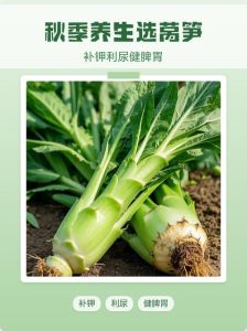 莴笋怎么选才不老_挑莴笋看颜色青绿，掂重细嫩无黄叶，新鲜易保存