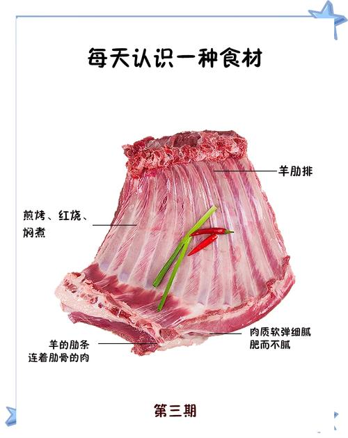 羊柳是羊的哪个部位图解_香辣羊柳 炒着吃最鲜嫩
