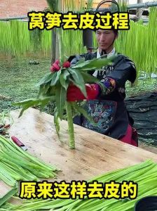 莴笋怎么去皮图解_莴笋去皮妙招，快学大厨技巧！